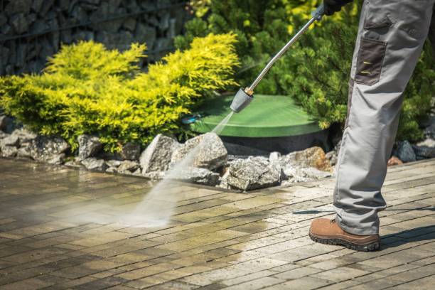 Reliable Trinity, AL Pressure Washing Services Solutions