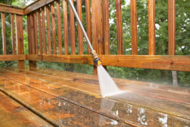 Best Driveway Pressure Washing  in Trinity, AL
